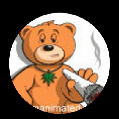 shazaddrc's profile picture. Enjoy Life