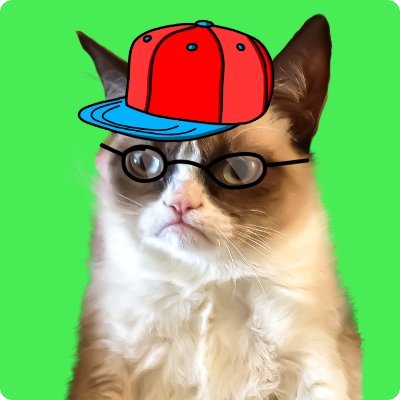 GaryCatSOL's profile picture. Gary is here to takeover Solana. Visit https://t.co/G3CcfWNWSt and create your own $GARY to join the army