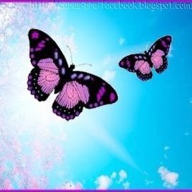 Paloma003251842's profile picture. Cuenta para participar en sorteos, y publicar las cosas que me gusten 👾🦄👩‍🎤