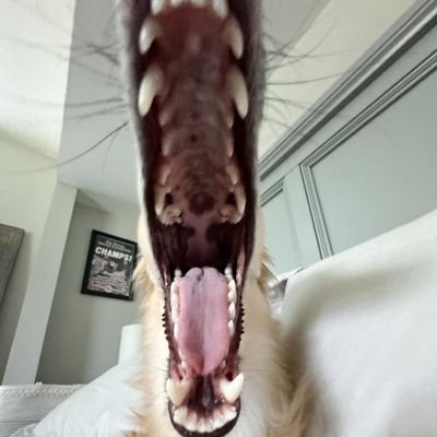 HernandoBebop's profile picture. where does the devil hide