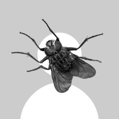 minimafps's profile picture. 