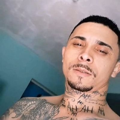 wllacerda123's profile picture. seja vencedor