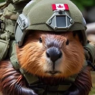 Cecsimpson's profile picture. Just another old guy with opinions. Longtime Habs fan! Pfizer Pfan #BLM #LQBTQ supporter #EveryChildMatters