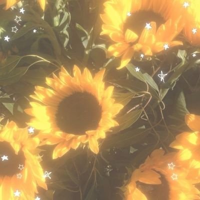 EdidiElija92482's profile picture. 