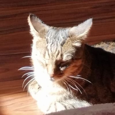 MARINKLESSq's profile picture. 