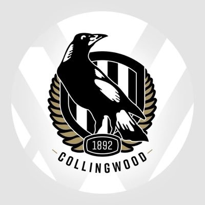 CollingwoodAFLW's profile picture. The official Twitter account of the @collingwoodfc AFLW team #GoPies