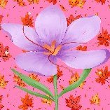 autumnsaffron86's profile picture. 