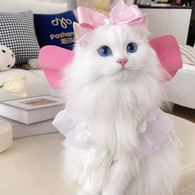 @Amy_9716