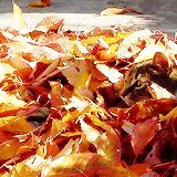 Ihnf_____'s profile picture. 