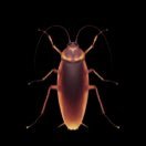 yujin_1's profile picture. 