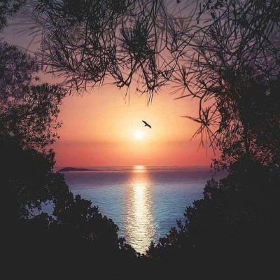 Antol1n263's profile picture. 