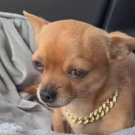 ezekielthefella's profile picture. I am legally obligated by the court of law to tell you that I'm an artist... #octhefella