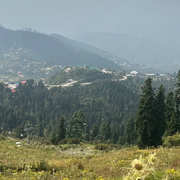 MeoJhon261's profile picture. 