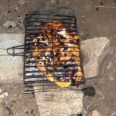 stilldanii's profile picture. 