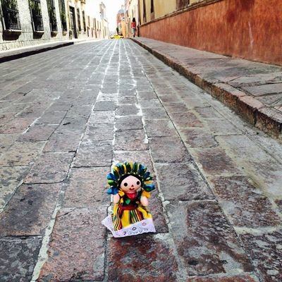 klaus_15csp's profile picture. Abogada, defensora DDHH, altruista, naturalista, 🌵🌟☀️🥂