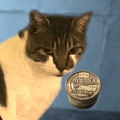 SheepPenpen's profile picture. 絵を描くぞ🎨ゲームするぞ🕹️あとは適当にしゃべるぞ😪主に絵はパワプロ/ポケ、ゲームはスト6中心になります。絵は独学トーシロー、スト6はハイマス目指して奮闘中。 質問・絵の依頼は下記URL(マシュマロ)から夜露死苦ゥ。暗い愚痴も投稿するから、苦手な人はブロックしてね！