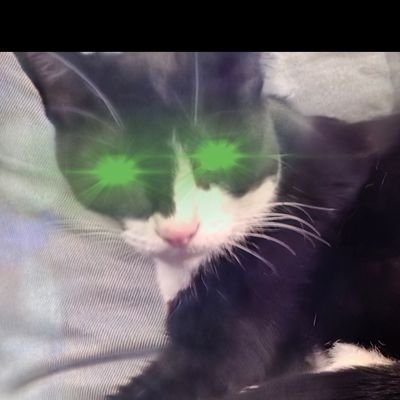 MemeMan_Stan_'s profile picture. Meme enjoyer 
Politician hater 
One of the shitposters of all time