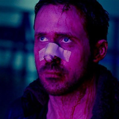 Mrnobody3738's profile picture. White Christian Nationalist