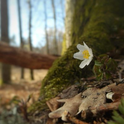 xwitter012's profile picture. 