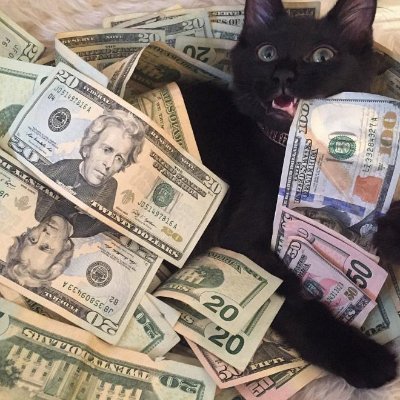 brunenger's profile picture. 