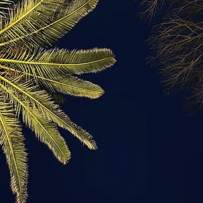 HIGHCHIEFDUBEM's profile picture. 