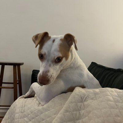 Obanmact's profile picture. ♠️ @Spadedata - probably looking at transaction data