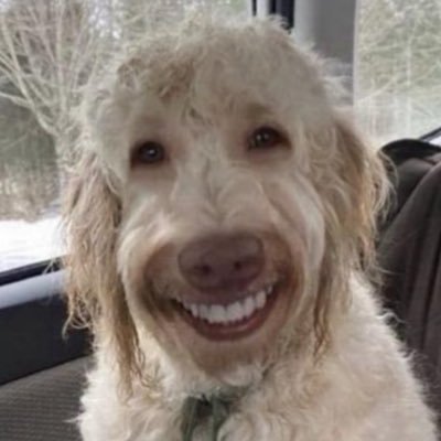 oldfashiondiner's profile picture. white people be like oh you can grab a soda from the 2nd fridge in our garage