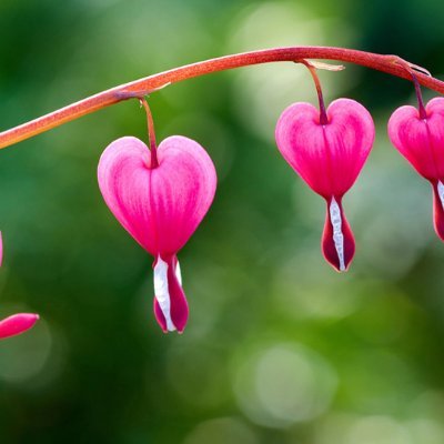 michmashobr's profile picture. 