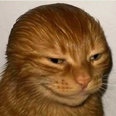 CJ3Corrado's profile picture. Howdy stalker 🤠