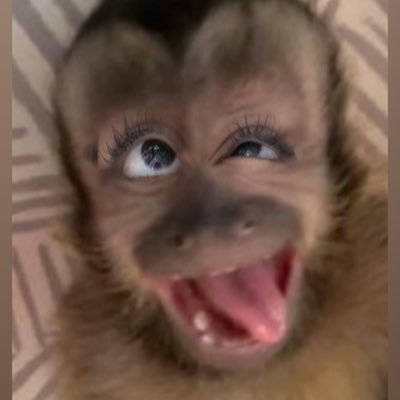 moonsteef's profile picture.