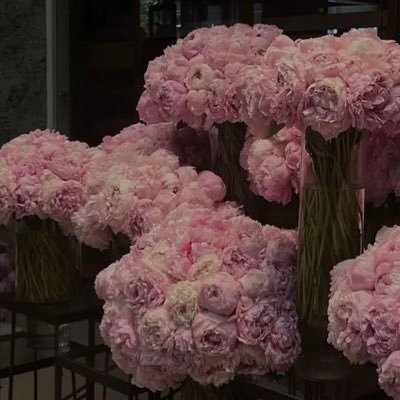 wssmutairi's profile picture. 