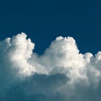 shefinfp's profile picture. 