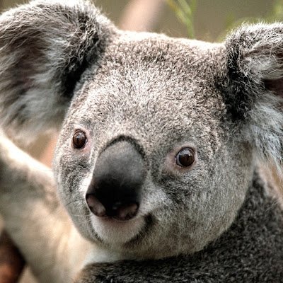 MaojunH69329's profile picture.