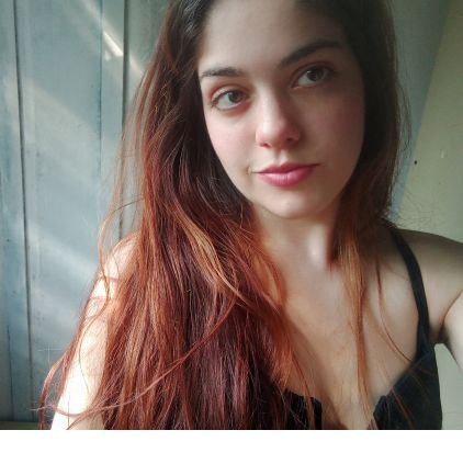 intensebts's profile picture. Direito ⚖️