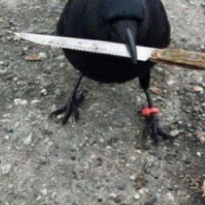 conyxbaby's profile picture. (Con-nix)