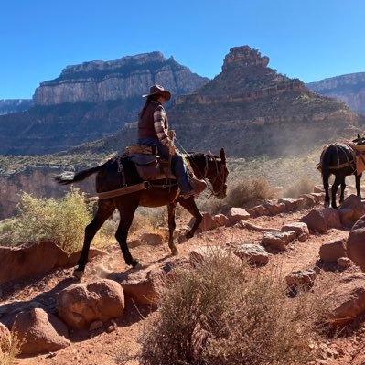 MichaelClamf's profile picture. 