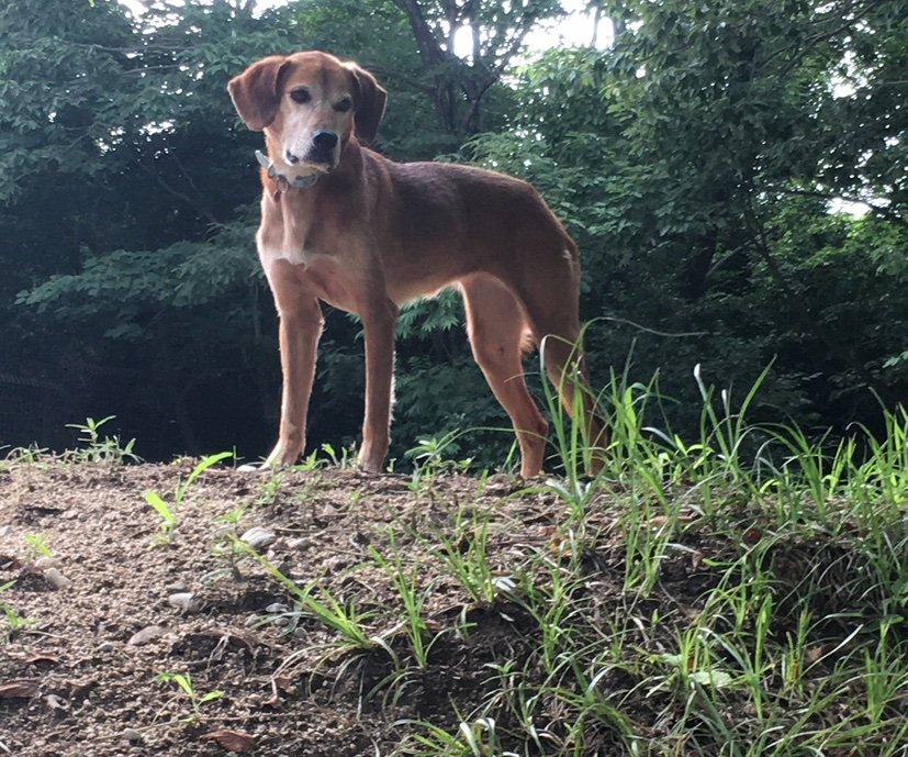 Kurumiontmbaar's profile picture. 