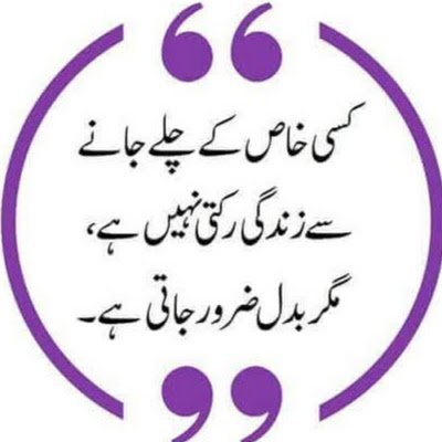 abdulhakamscri's profile picture. See More