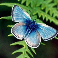 Hope Ames (@hopefloats95) 's Twitter Profile