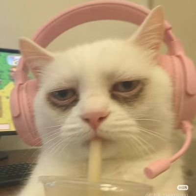 SusunaPatrick's profile picture. 🐰💖Only Patrick/🍑🩰🏩/🌺เอ็นดูทุกยูนิตที่มีแพท🌸 PATRICK IS MY HAPPINESS 💞 (slow)