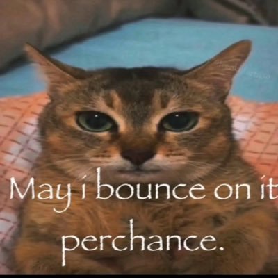 🌈 hole you’d go to war for 🪓 Profile