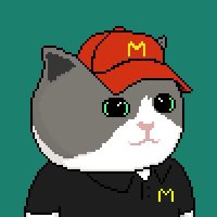 BadRudi Solana (@badrudi_sol) 's Twitter Profile