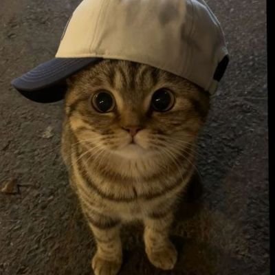 saw_0005's profile picture. Never too late