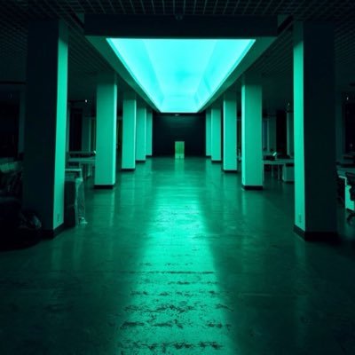 Baconwifcheese's profile picture. Everything is a prediction market. 🔮