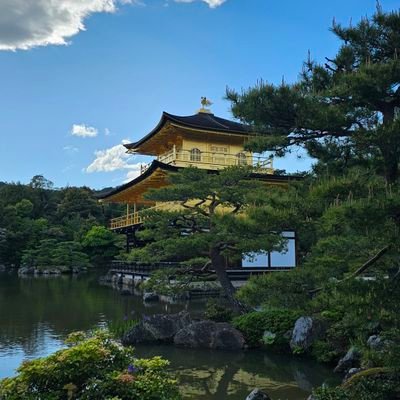 suigenekris's profile picture. 