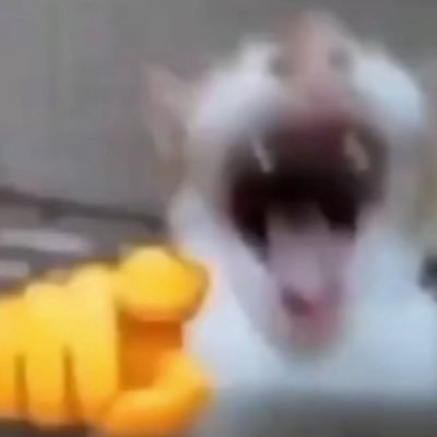 melton_duke's profile picture. 