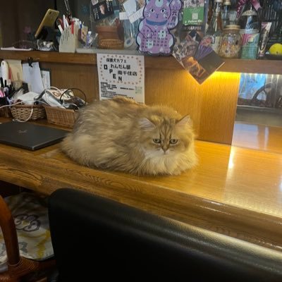 hime_12__'s profile picture. 