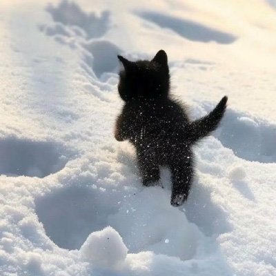 Thy_Tarnish's profile picture. An existentialist who sublimated into the moralism of a 5 year old boy.