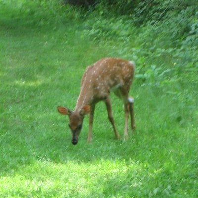 f0ob_em's profile picture. she/her