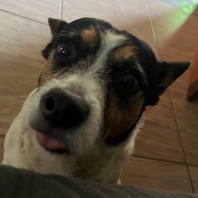 mariajcorreia_'s profile picture. 🦅🖤